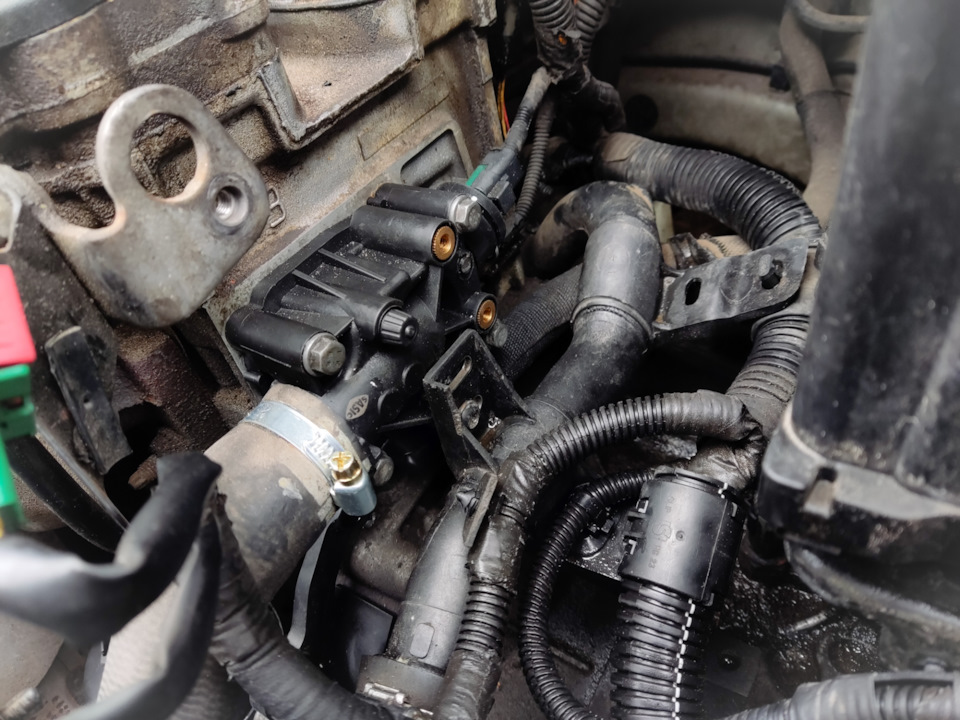 Новый в действии — Peugeot 307 SW