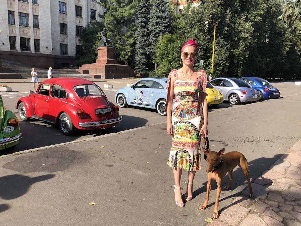Фото в бортжурнале Volkswagen Beetle (A5)