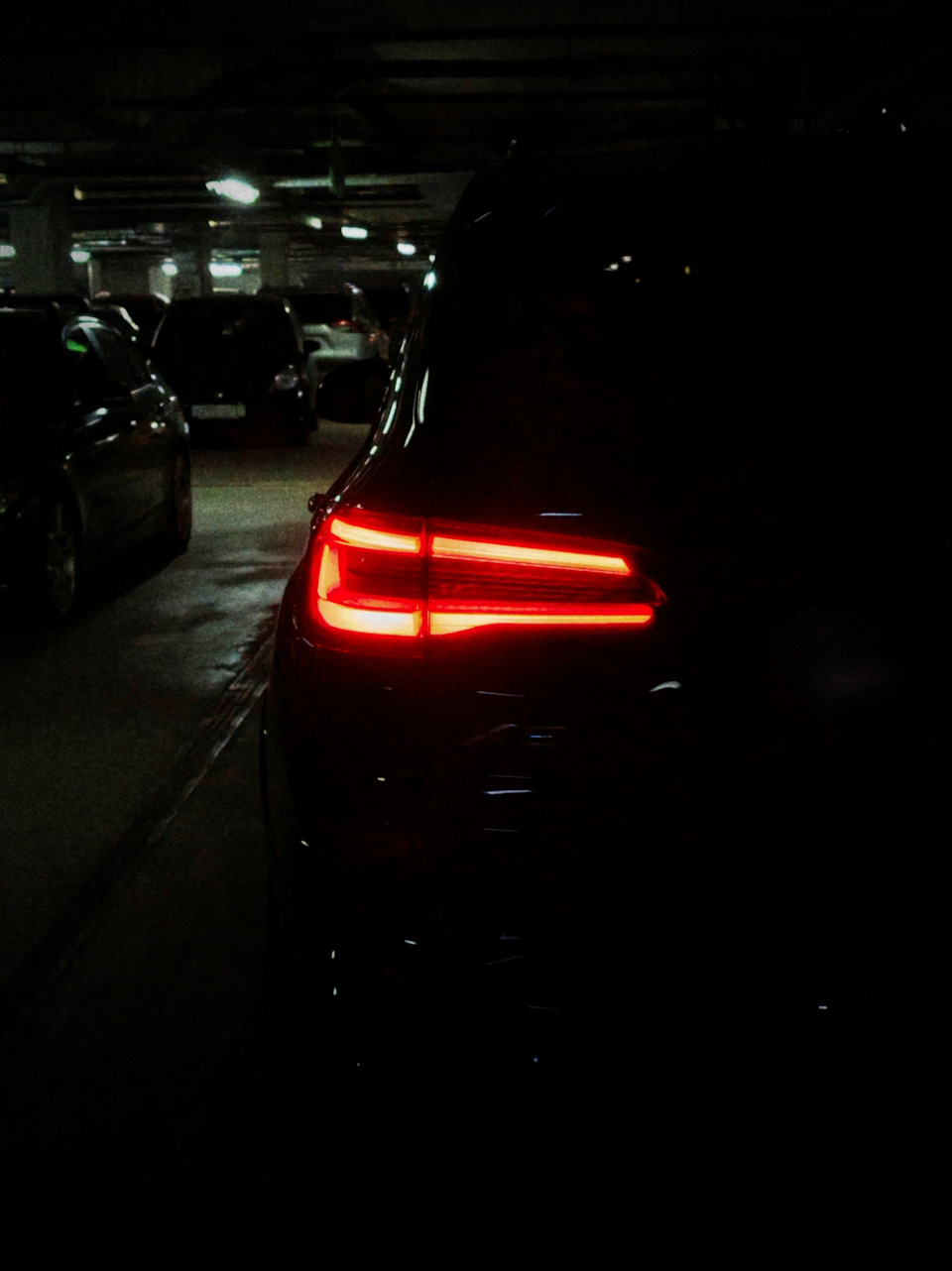 Фото в бортжурнале BMW X5 (G05)