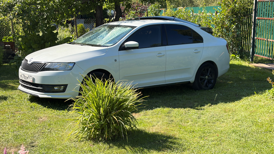 Skoda Rapid