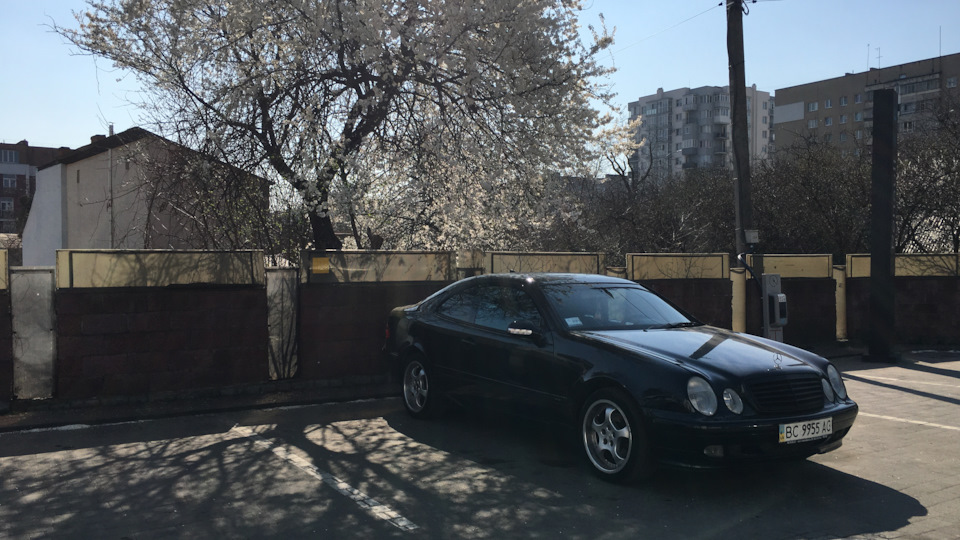 Mercedes-Benz CLK Brianna