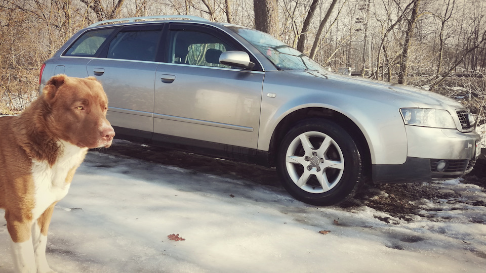 Audi A4 Avant QUATTROвая 1.9TDI