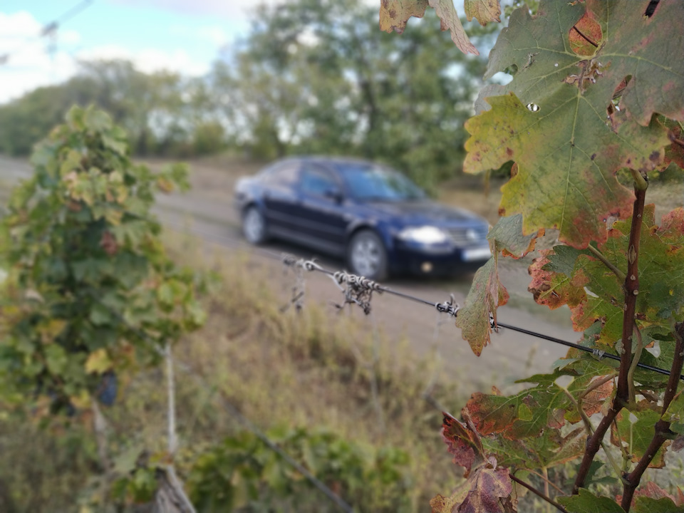 Фото в бортжурнале Volkswagen Passat B5