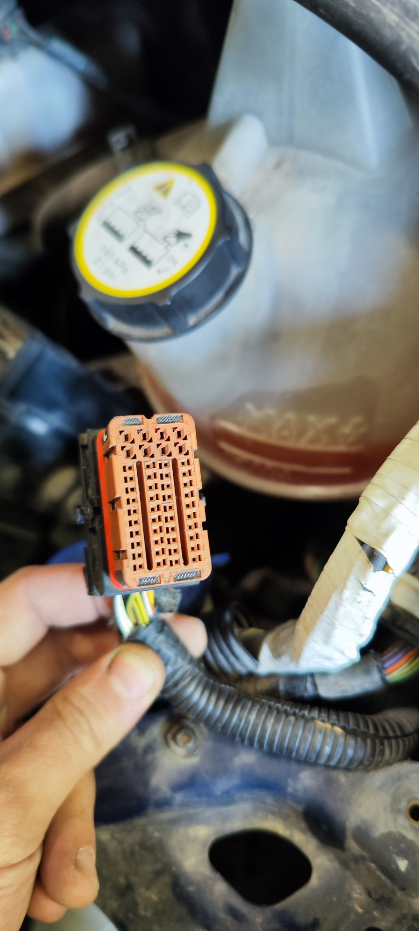 Фото в бортжурнале Ford Transit (7G)