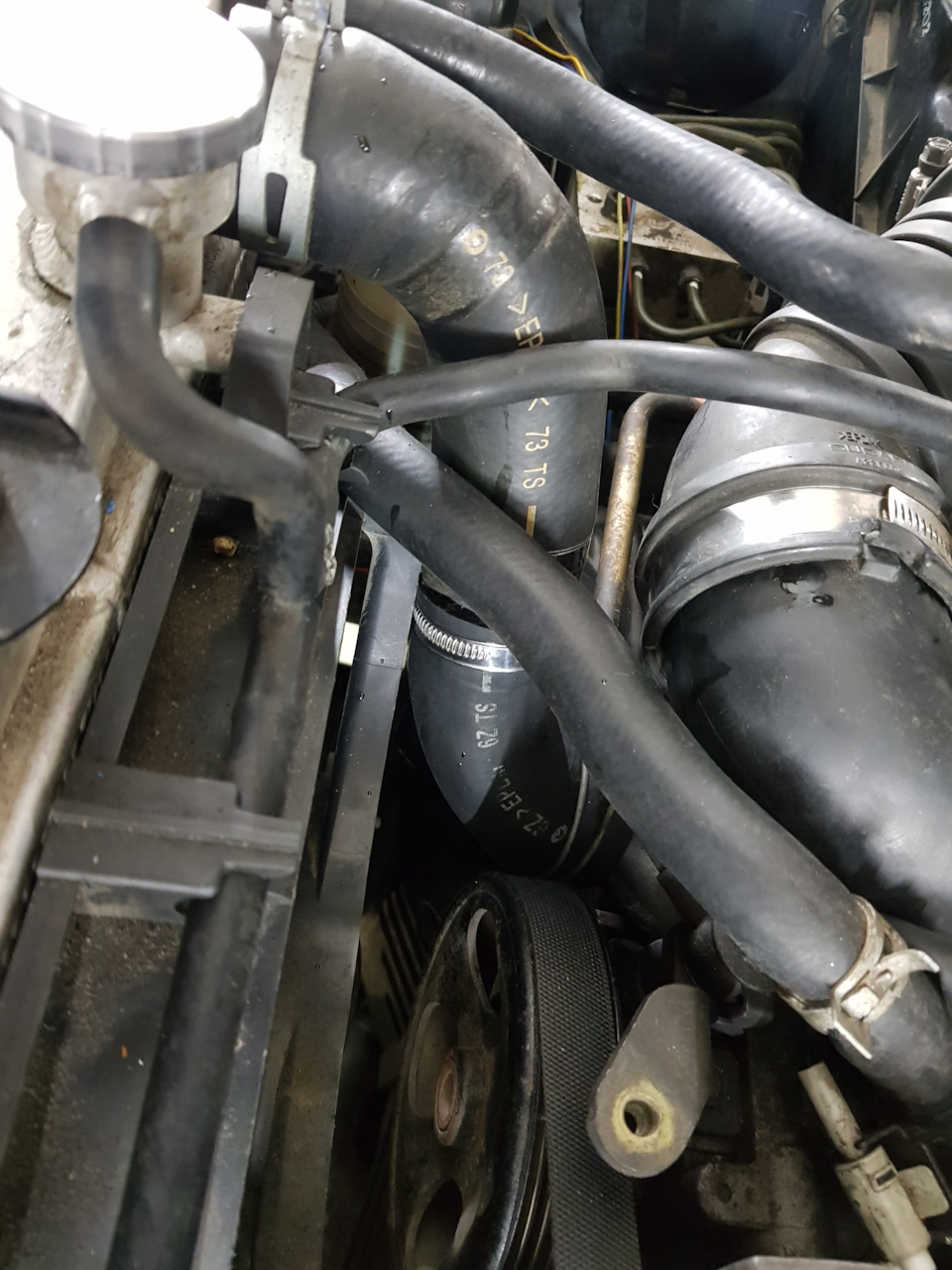 Фото в бортжурнале Subaru Forester (SG)