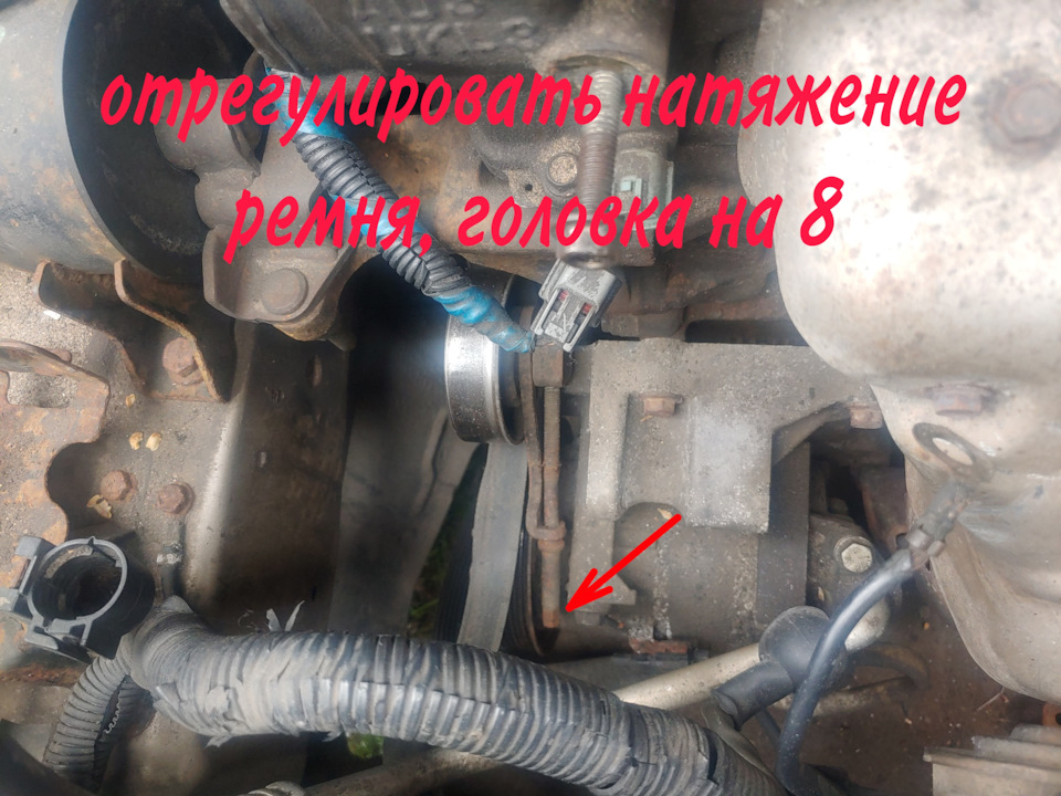Фото в бортжурнале Nissan Primera (P12)