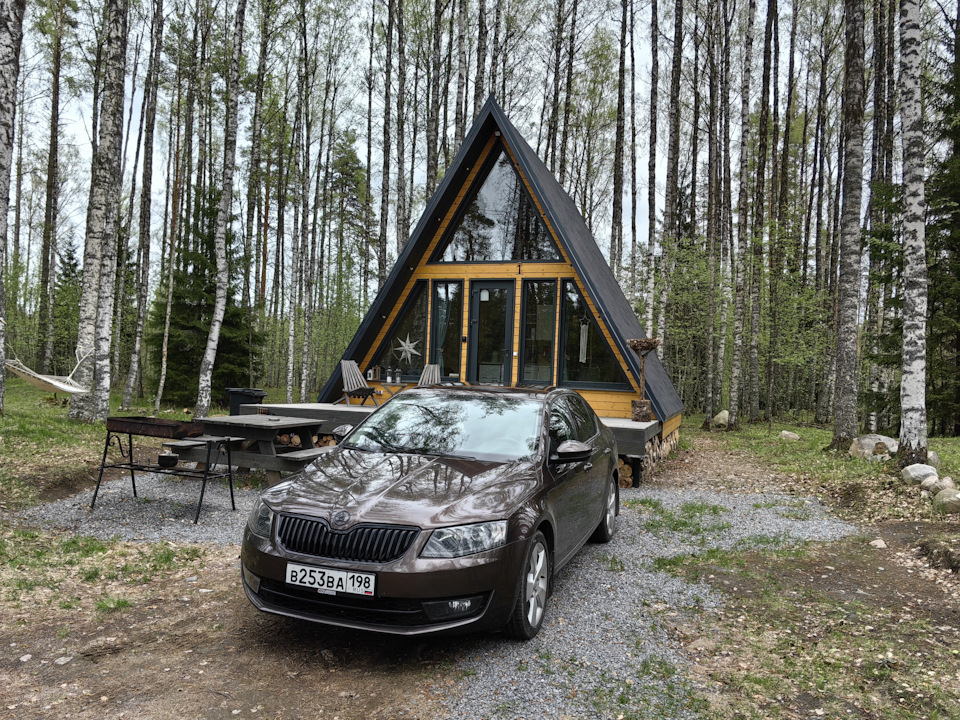 на месте) — Skoda Octavia A7 Mk3