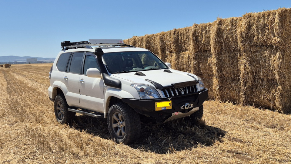 Toyota Land Cruiser Prado Прадодактель - Альбинос