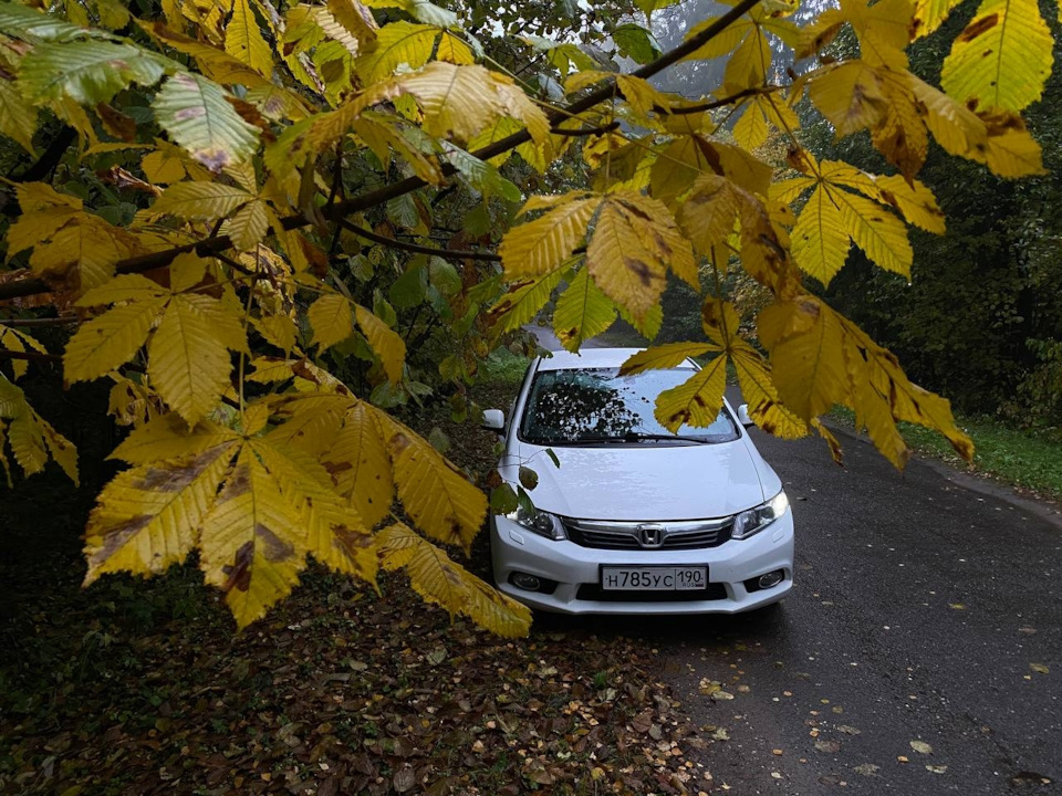 Фото в бортжурнале Honda Civic 4D (9G)
