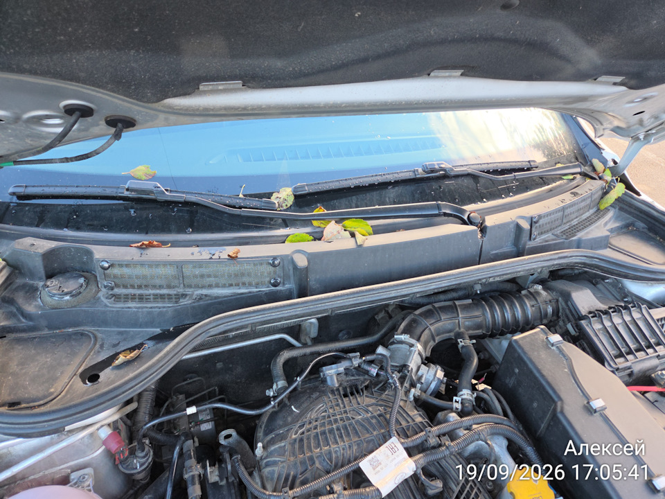 С покупки, сразу поставил эти сетки… Но они вообще не помогли… — Lada Vesta SW Cross (NG)