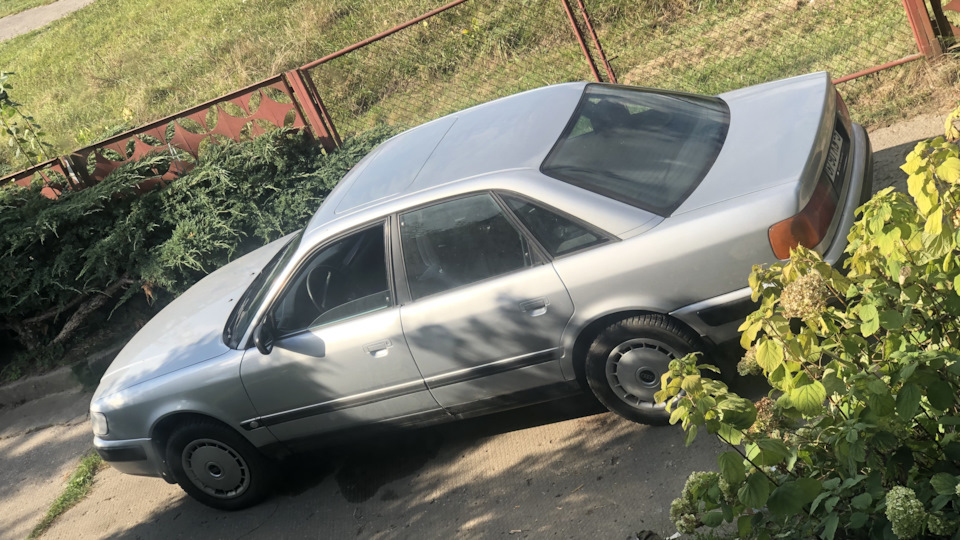 Audi 100 ZWEIGESICHTIG