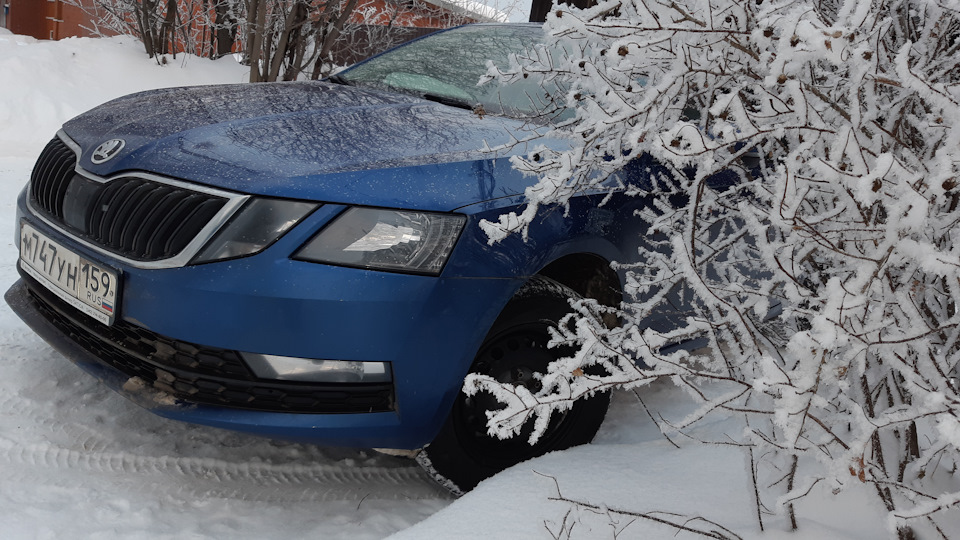 Фото в бортжурнале Skoda Octavia A7 Mk3