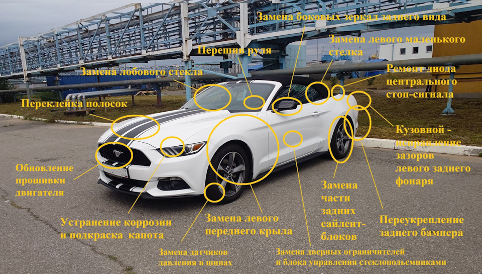 Фото в бортжурнале Ford Mustang (6G)