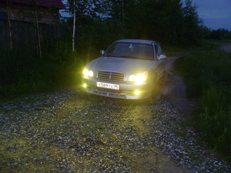 желточки))) — Hyundai Sonata IV (EF)