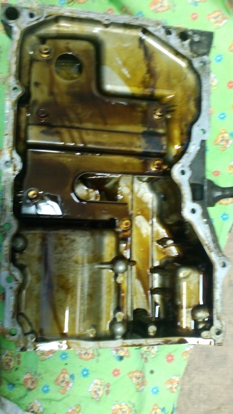 Фото в бортжурнале Ford Focus Hatchback II