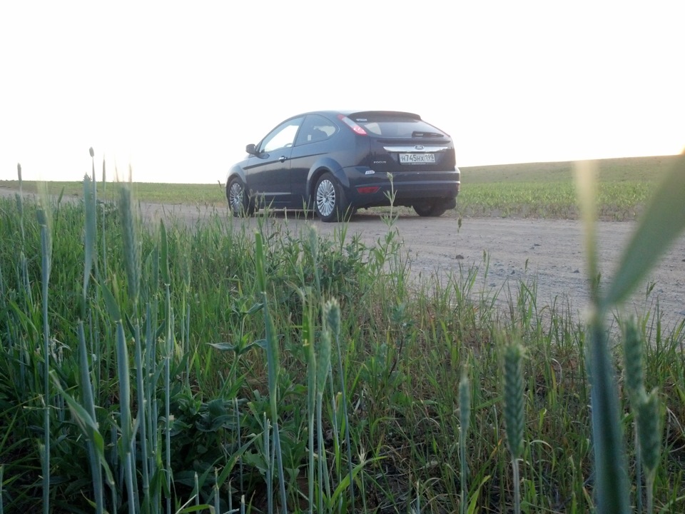 Вечер в Низовцах — Ford Focus Hatchback II