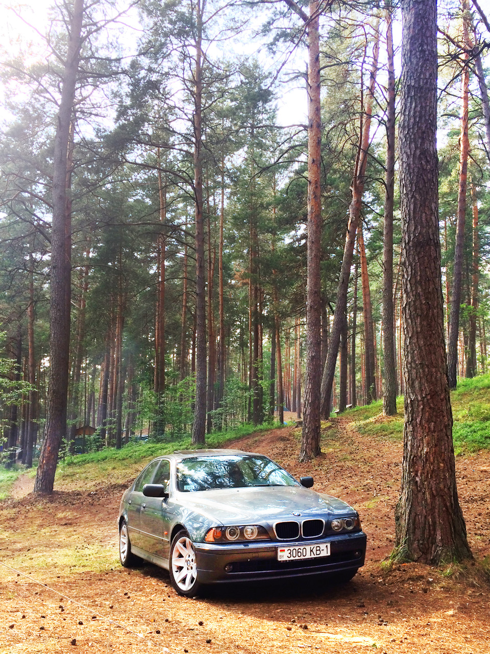 Фото в бортжурнале BMW 5 series (E39)