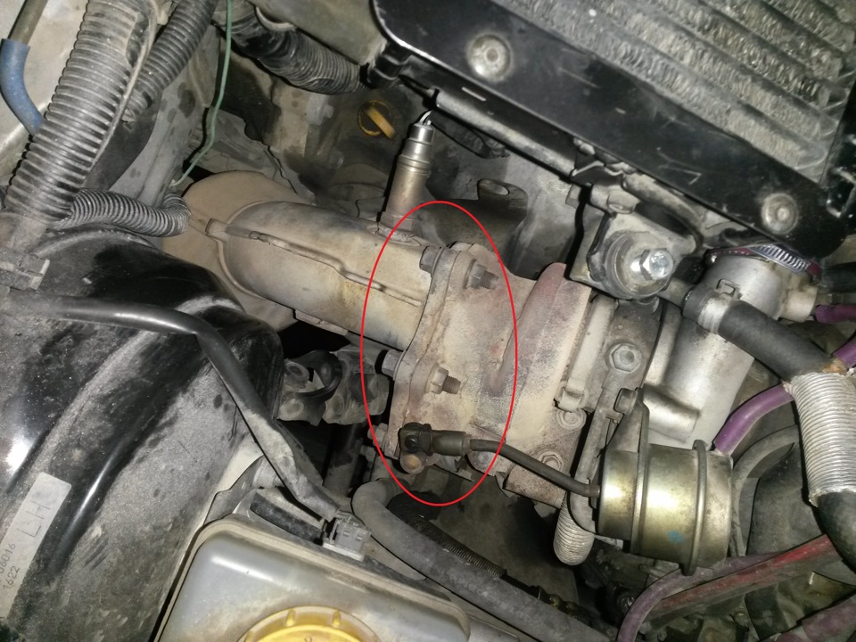 Фото в бортжурнале Subaru Forester (SF)