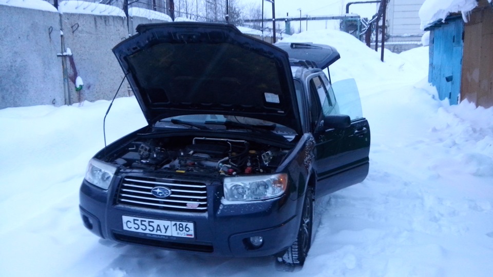 Готовимся к ТО — Subaru Forester (SG)