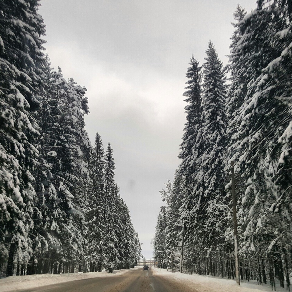 Фото в бортжурнале KIA Rio (3G)