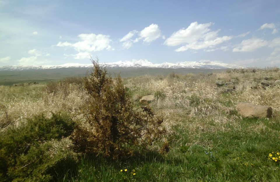 Photo from the logbook Renault Clio II