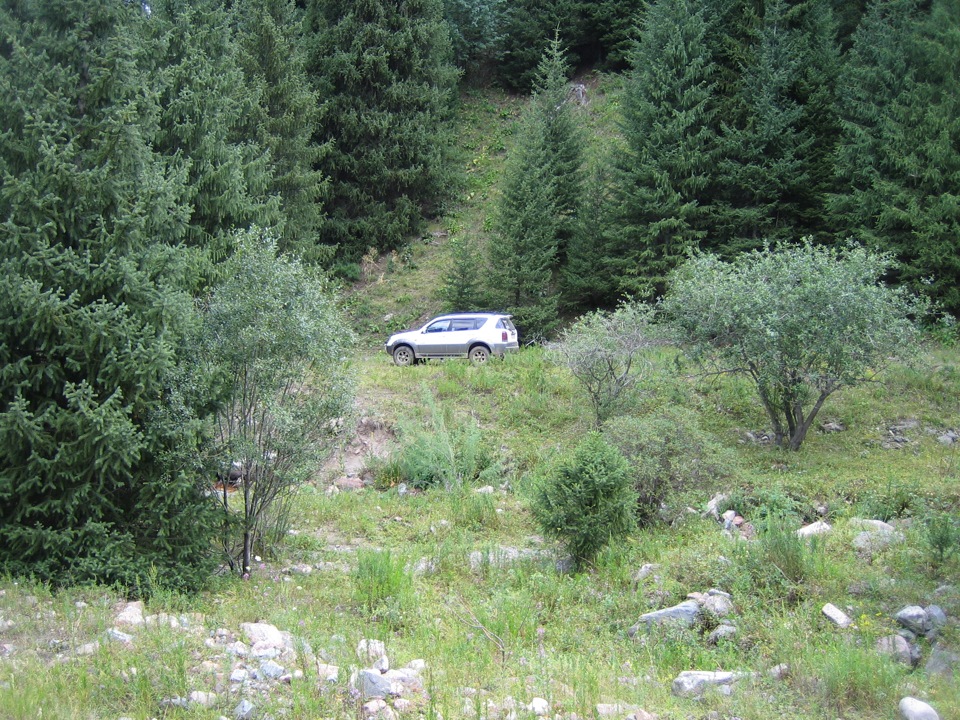 Фото в бортжурнале SsangYong Rexton (1G)