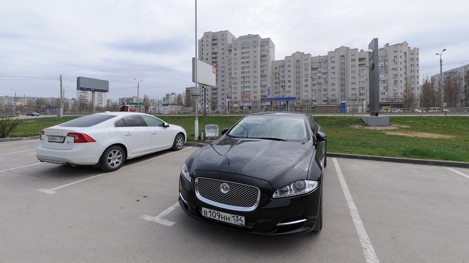 Бьянка и чёрный кот. Ревности нет. — Volvo S60 (2G)