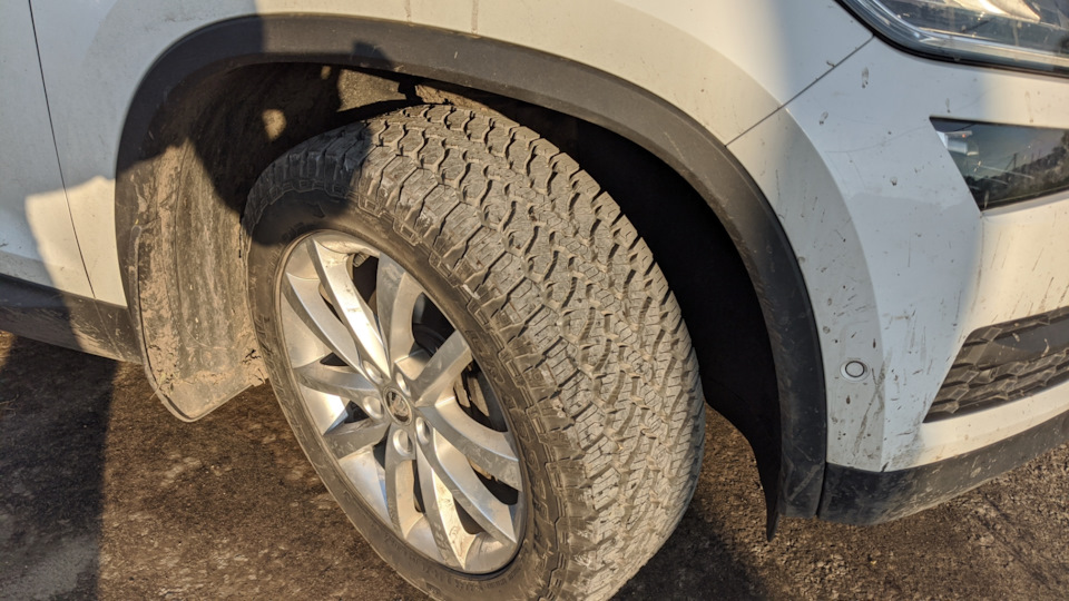 Фото в бортжурнале Skoda Kodiaq (1G)