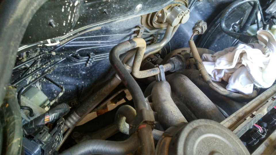 Фото в бортжурнале Volkswagen Polo Sedan