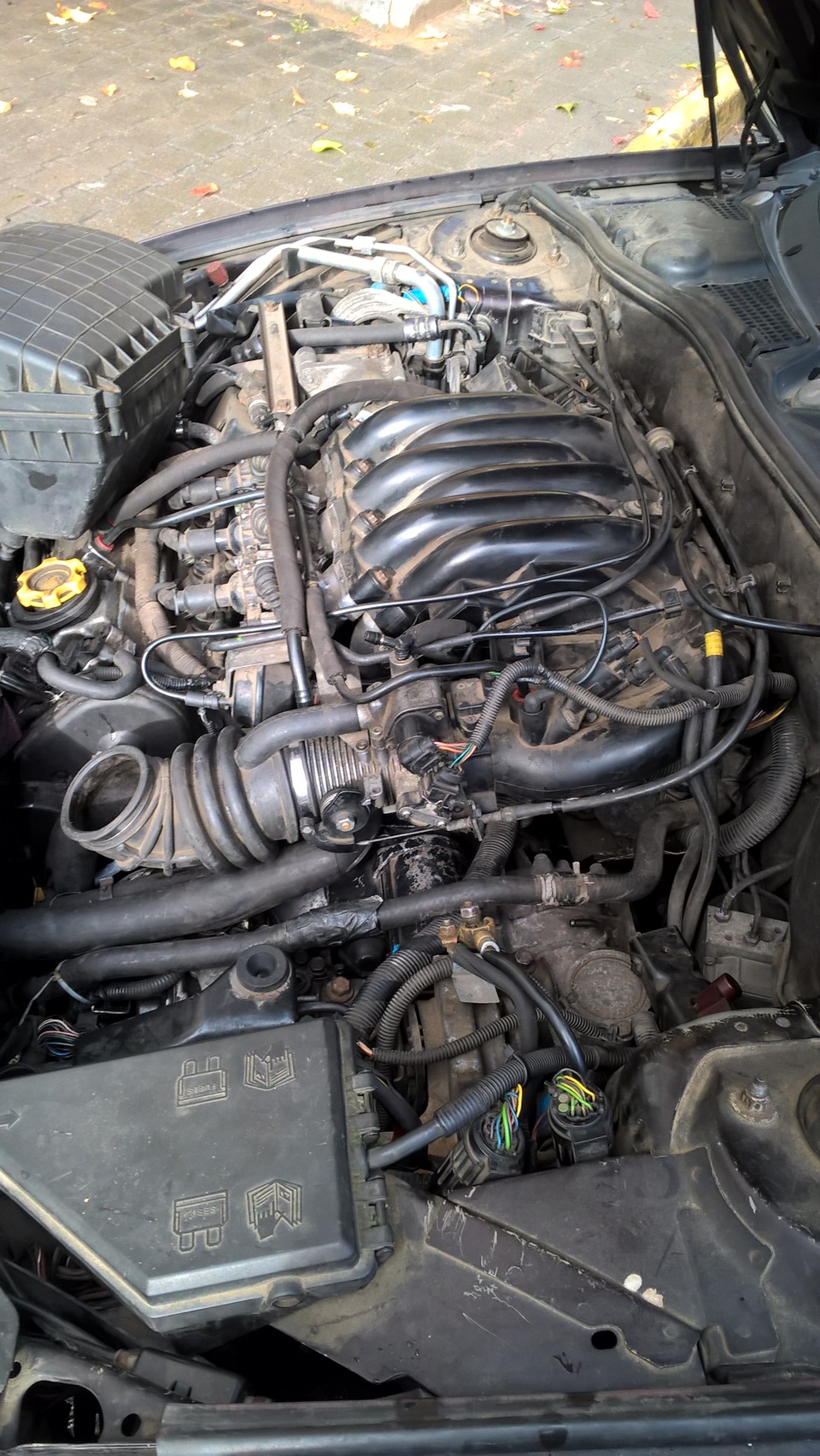Фото в бортжурнале Rover 75