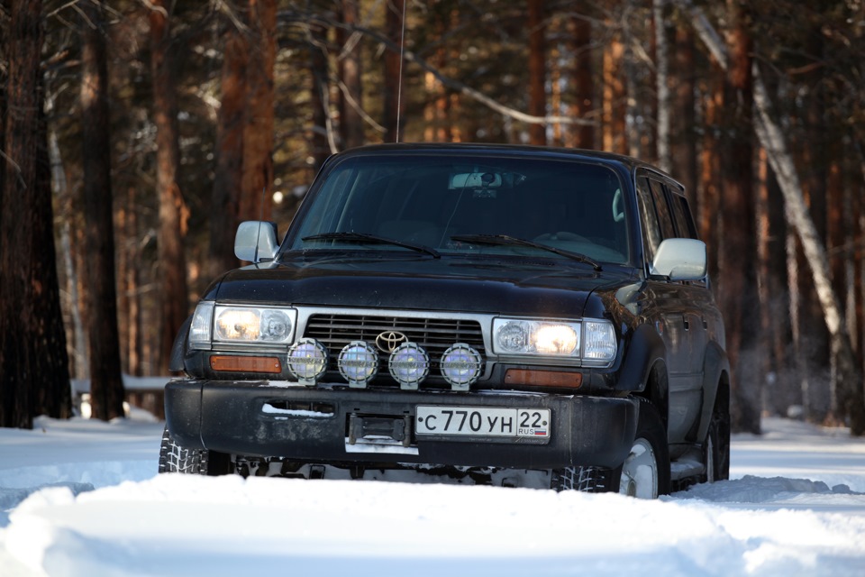 Фото в бортжурнале Toyota Land Cruiser 80