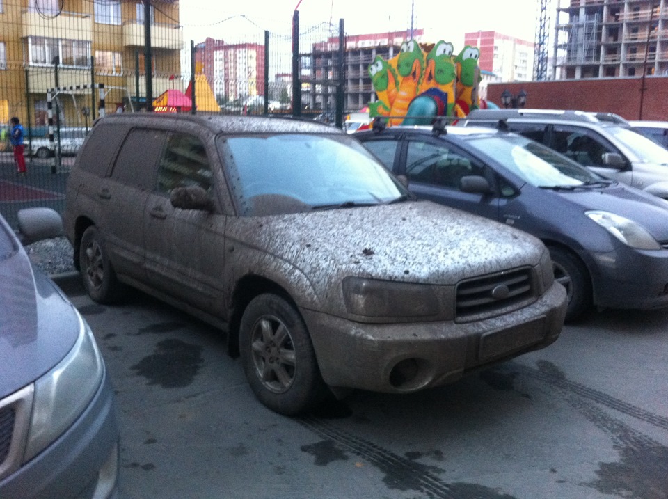 Фото в бортжурнале Subaru Forester (SG)