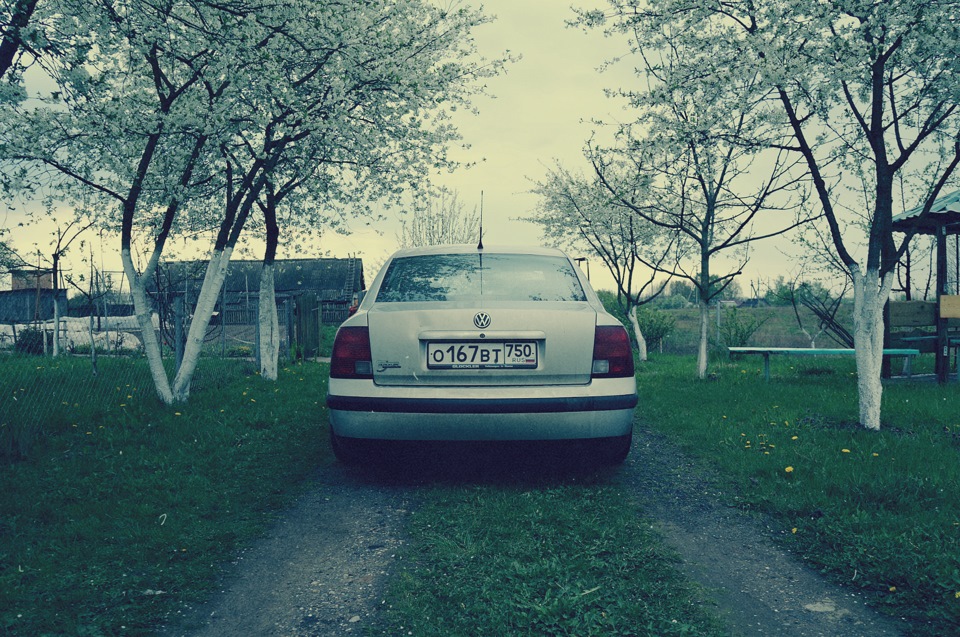 Фото в бортжурнале Volkswagen Passat B5