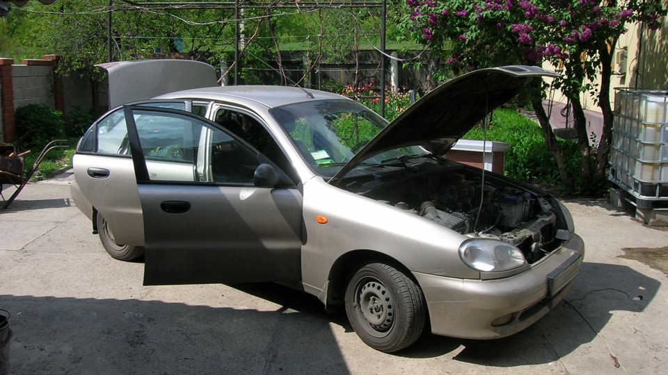 Daewoo Lanos крыс
