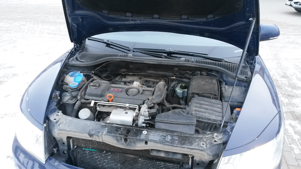 Фото в бортжурнале Skoda Octavia A5 Mk2