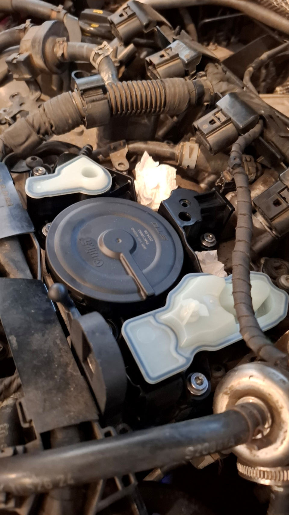 Фото в бортжурнале Skoda Octavia A7 Mk3