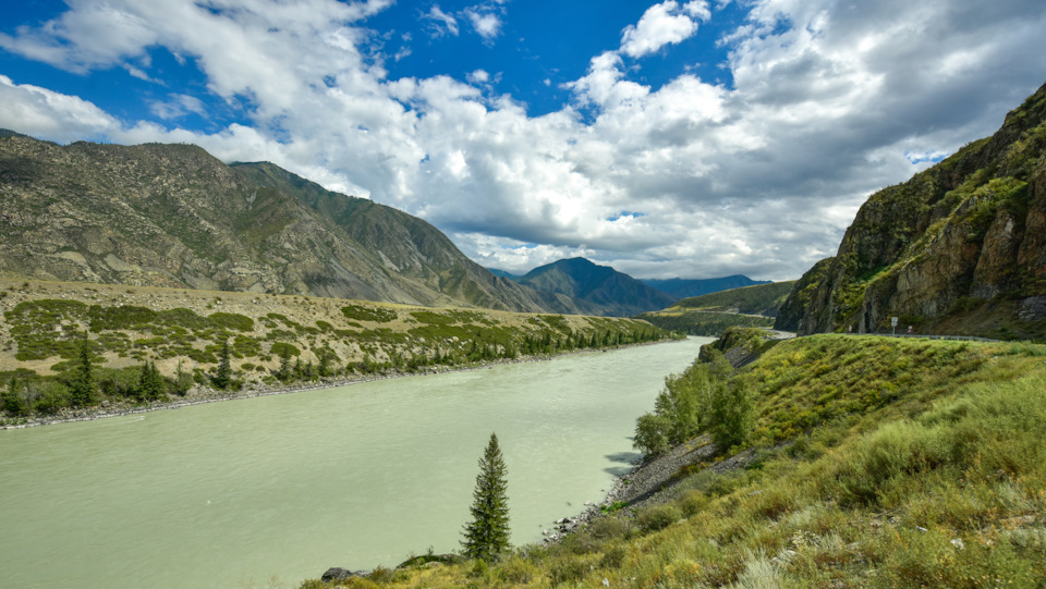 Катунь здесь уже не такая бирюзовая и прозрачная, как в Тюнгуре. — Acura MDX (3G)