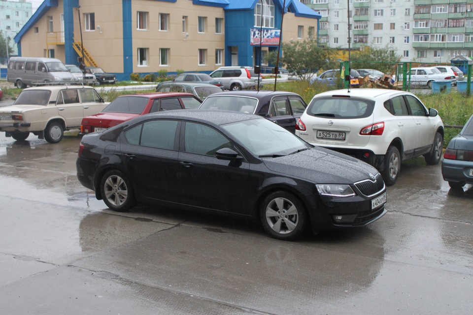 Фото в бортжурнале Skoda Octavia A7 Mk3