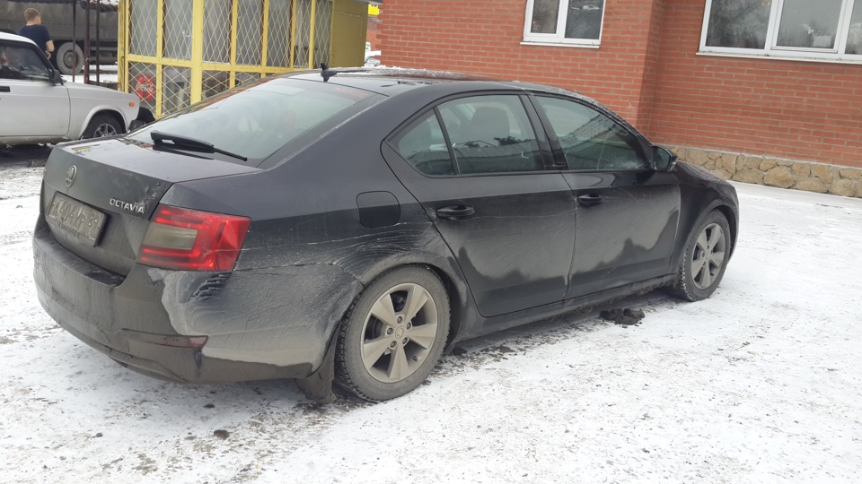 Фото в бортжурнале Skoda Octavia A7 Mk3