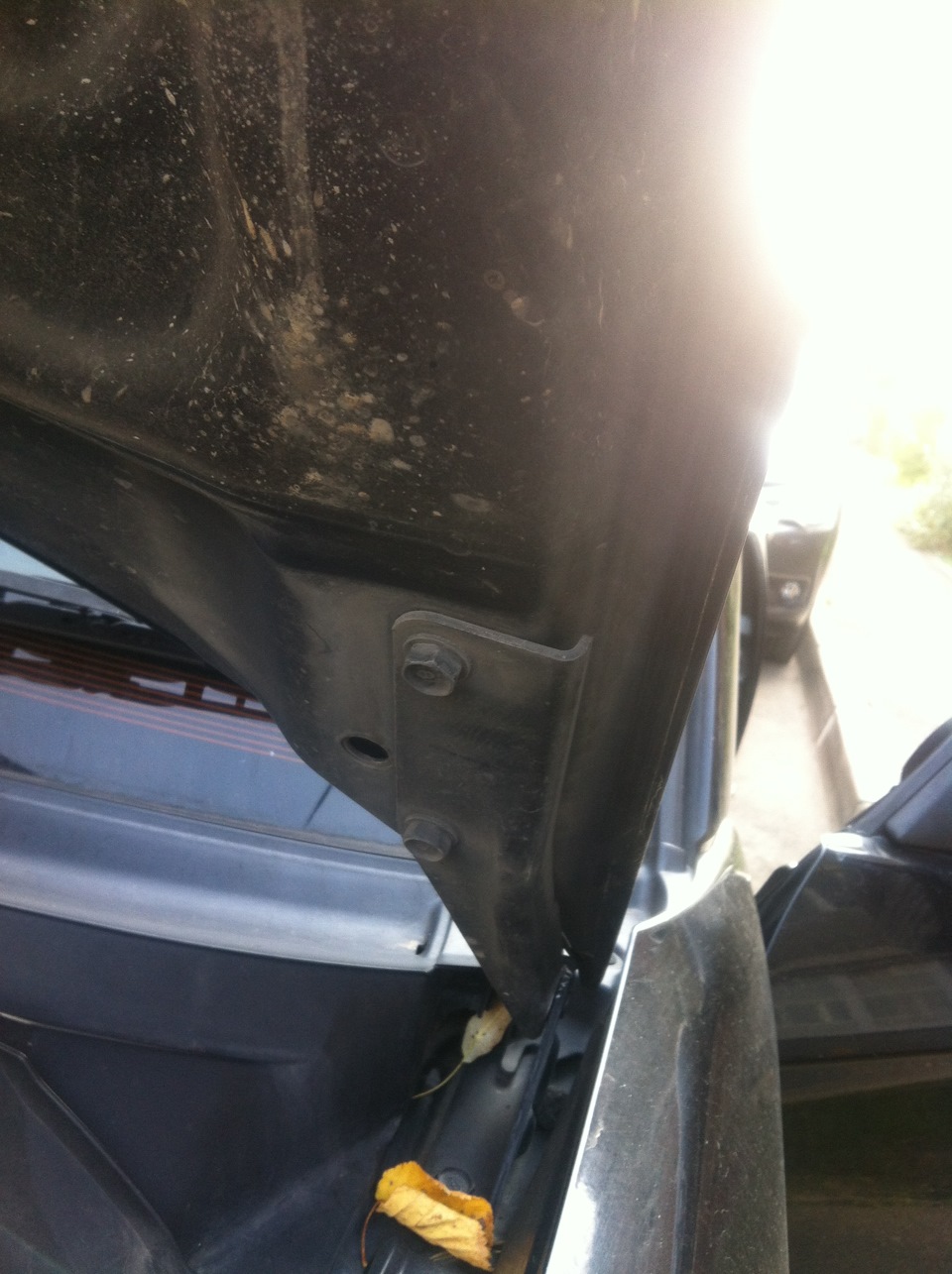 Фото в бортжурнале Subaru Forester (SG)