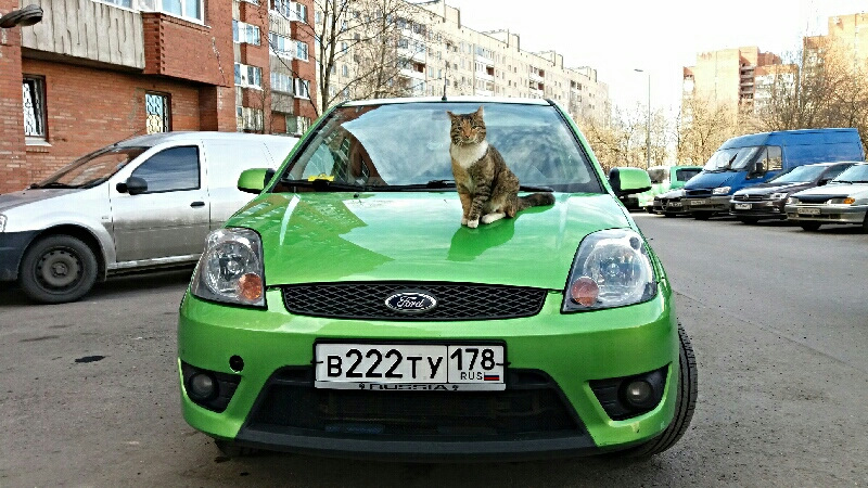 Фото в бортжурнале Ford Fiesta (Mk V)