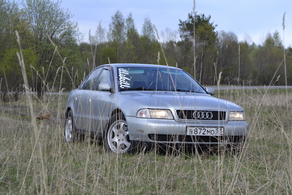 Фото в бортжурнале Audi A4 (B5)