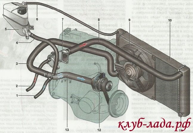 Фото в бортжурнале Lada Калина Спорт (1G)