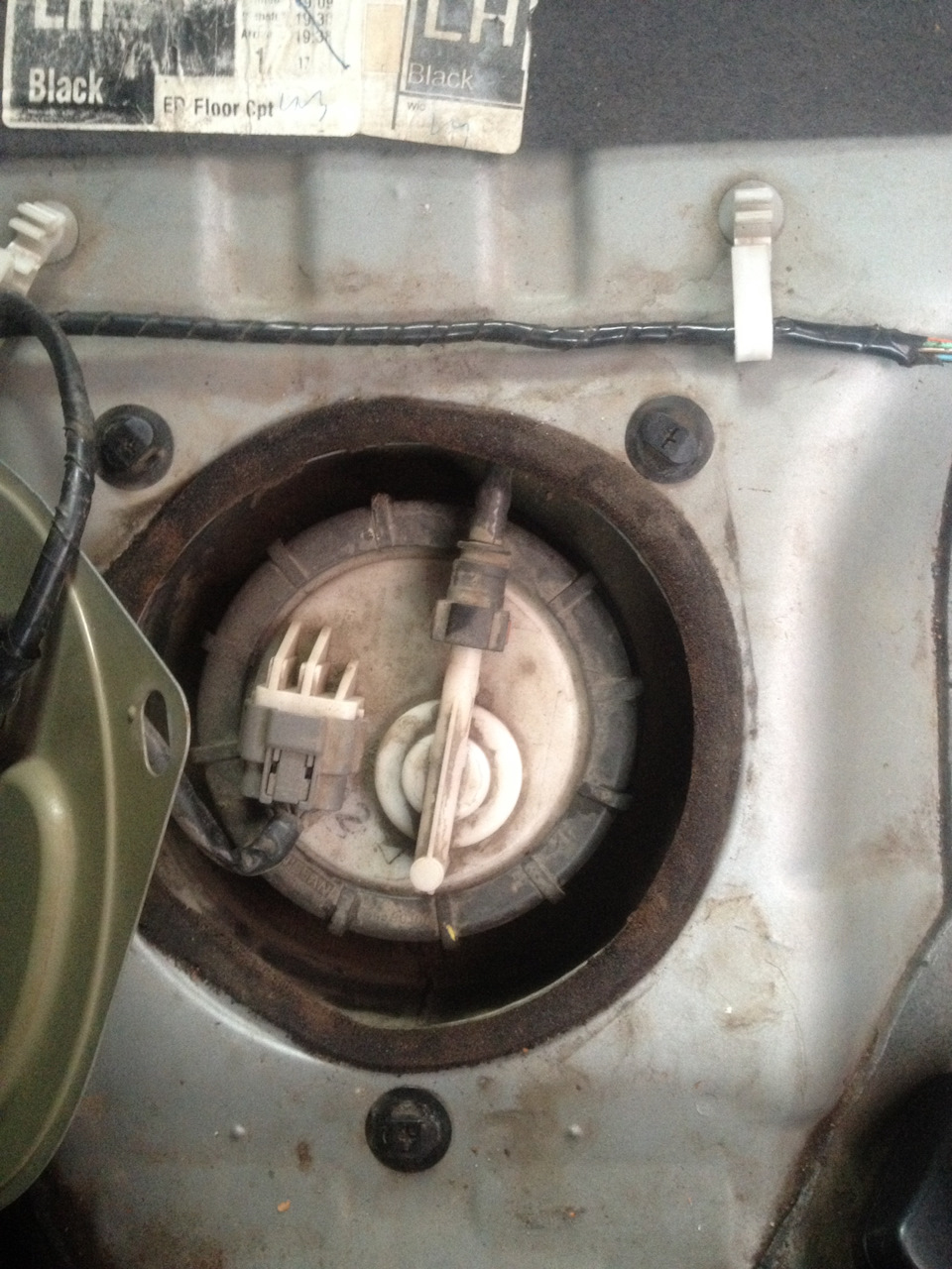 Фото в бортжурнале Nissan Primera (P12)