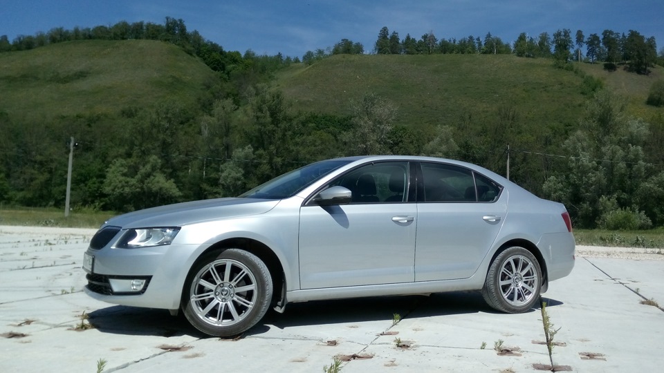 Skoda Octavia чешский пони
