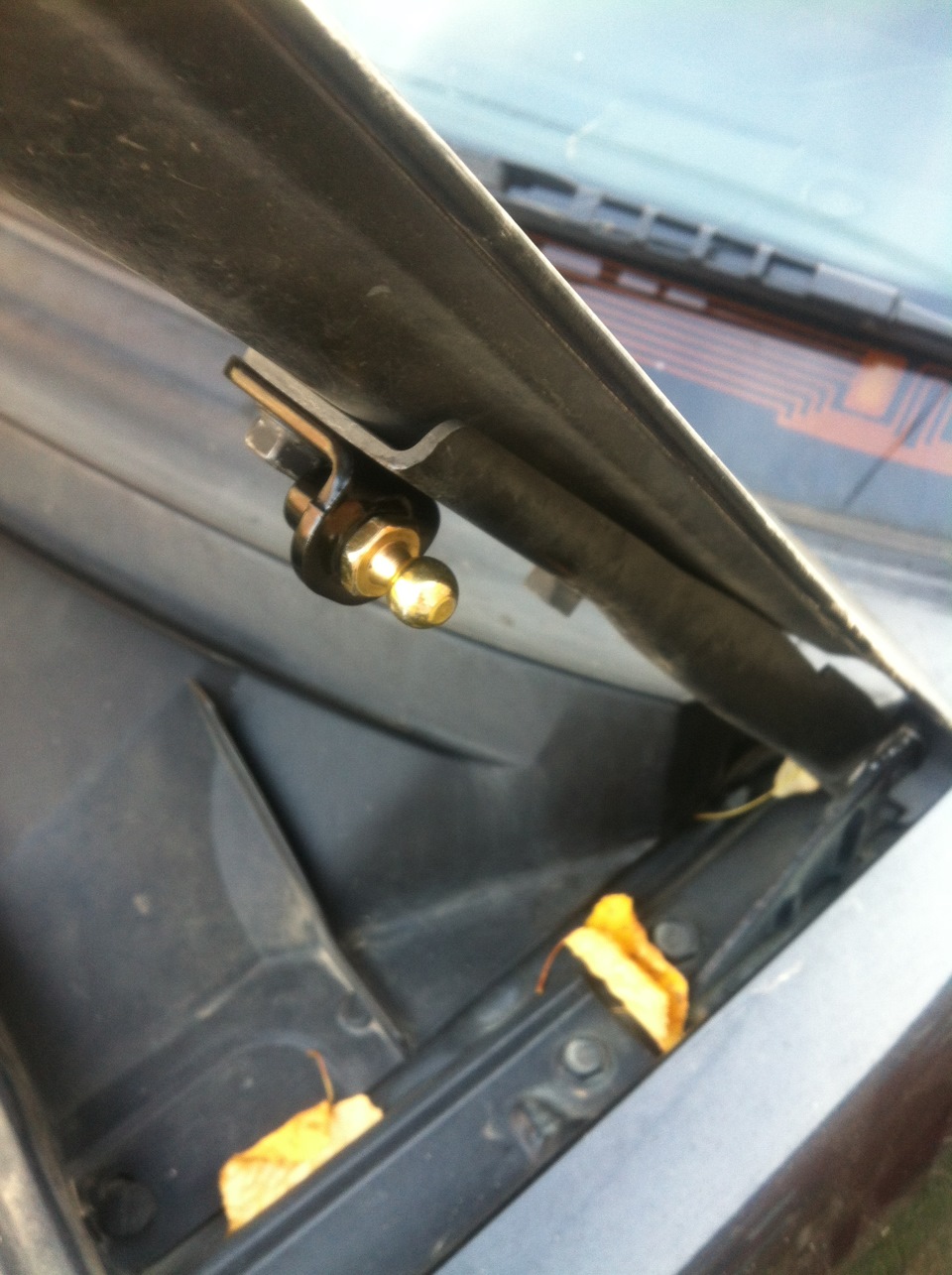 Фото в бортжурнале Subaru Forester (SG)