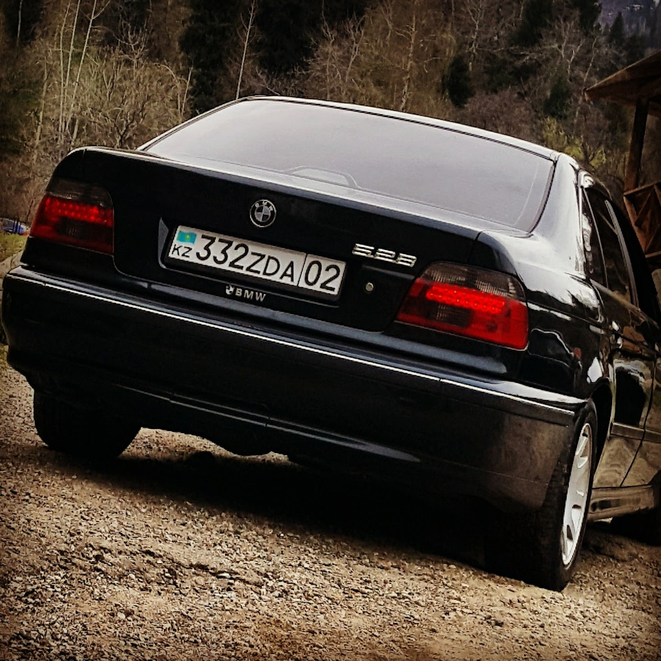 Фото в бортжурнале BMW 5 series (E39)