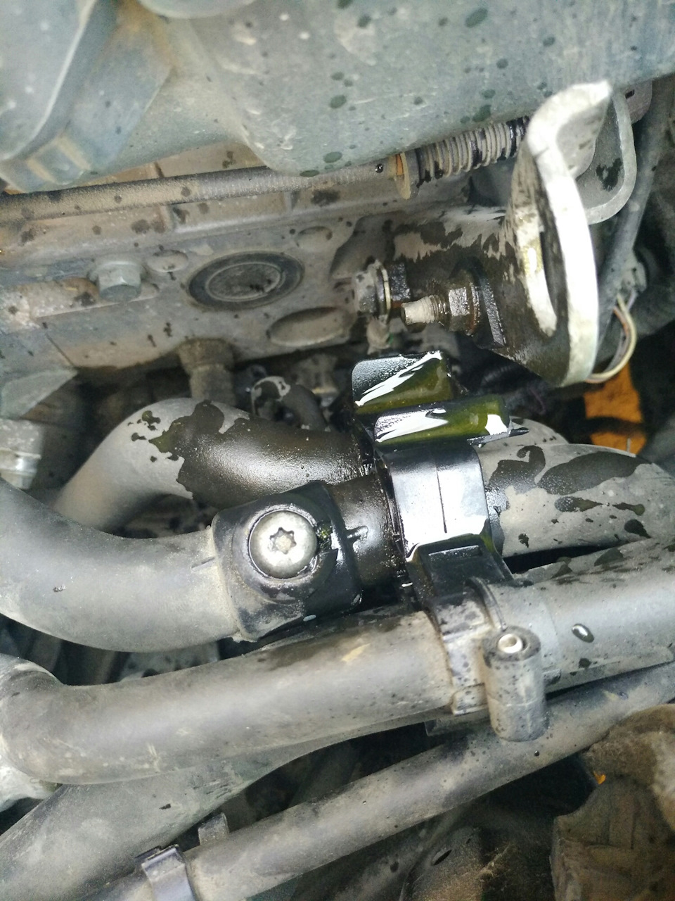 Скотыняка такая 😂 — Renault Kangoo (1G)