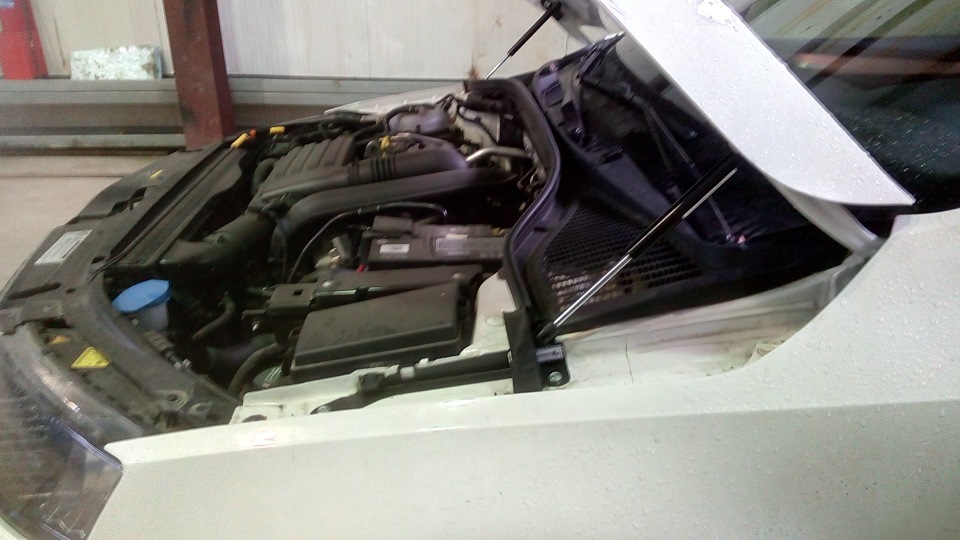 Фото в бортжурнале Skoda Octavia A7 Mk3