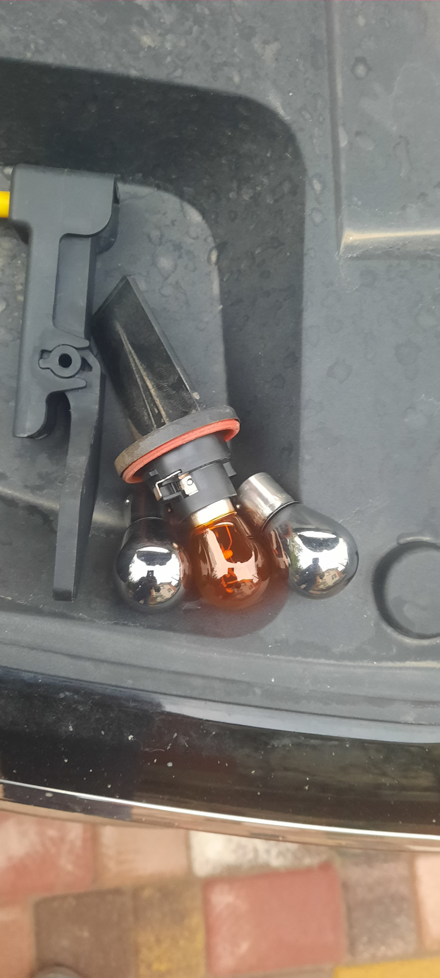 Стандарт и новые — Renault Grand Scenic IV